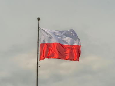 Bezpieczeństwo Radom - Zdjęcie podglądowe artykułu